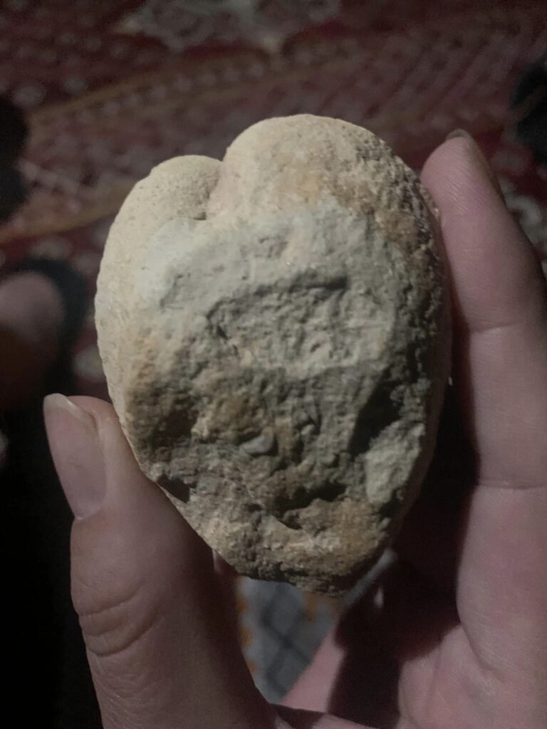 サウジアラビア観光 秘境 絶景 世界の果て リヤド 海外旅行 世界一周 おすすめスポット 化石