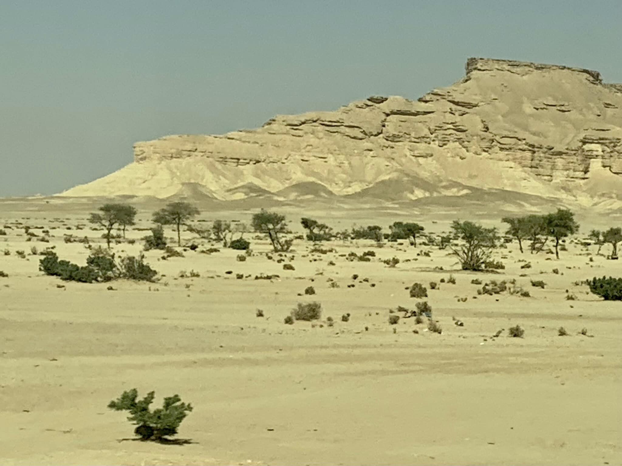 Al Jeraisy Castle, Saudi Arabia, サウジアラビア観光, アル・ジェライシー城