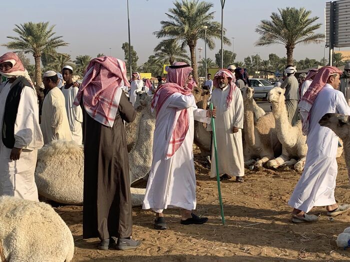 Saudi Arabia サウジアラビア観光 キャメルマーケット Buraidah Camel Market