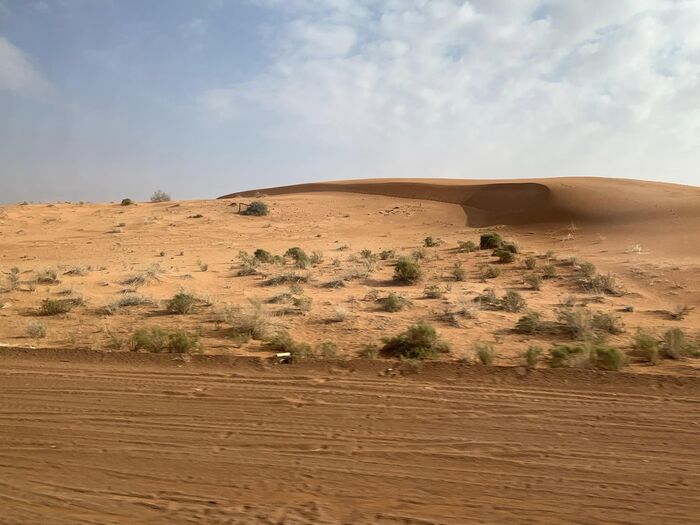 Jubbah, Saudi Arabia, ロックアート, 岩絵, ハイル, 世界遺産, 神秘, 観光, 世界旅行 名所, ナフード砂漠