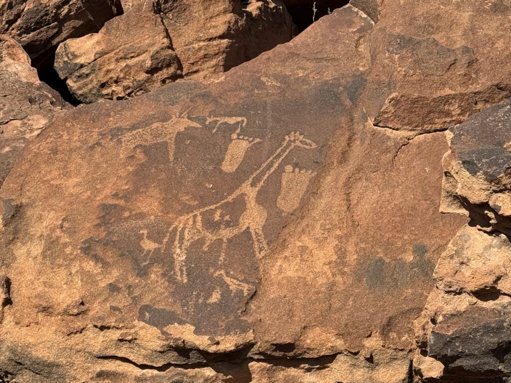 ナミビア 観光 おすすめ ランキング 行き方 絶景 海外旅行 アフリカ 岩絵 考古学 Twyfelfontein