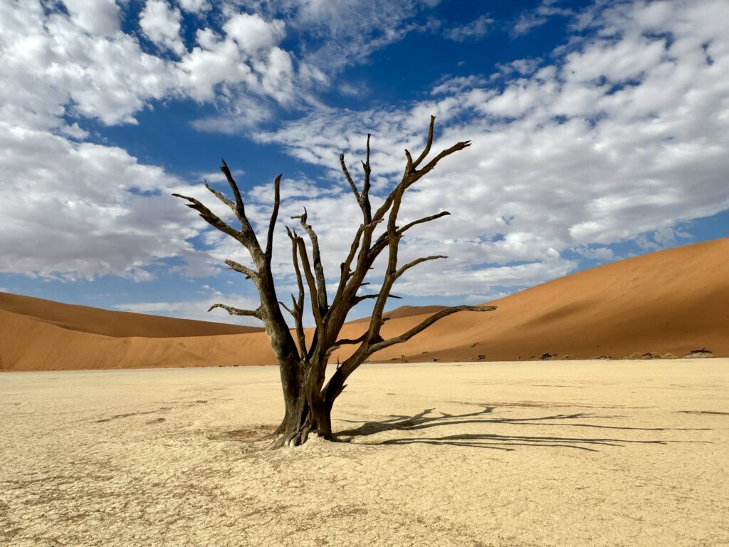 ナミビア 観光 おすすめ ランキング 行き方 絶景 海外旅行 アフリカ デッドフレイ ナミブ砂漠