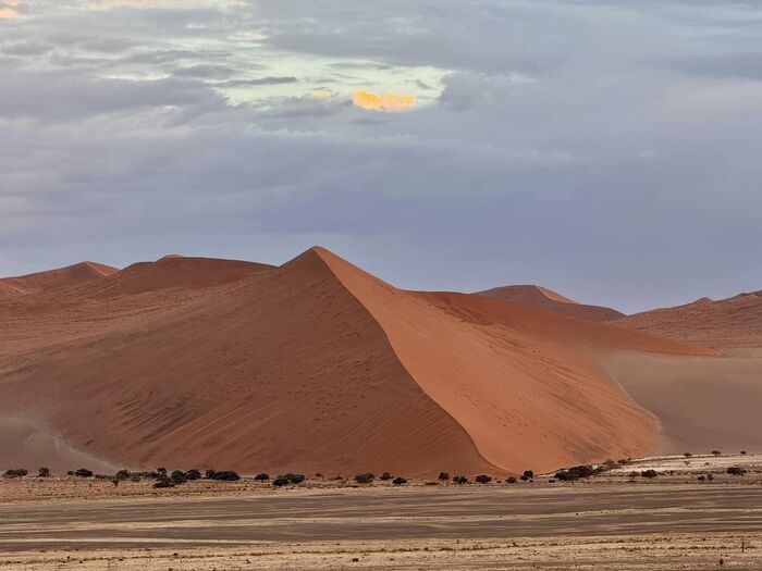 ナミビア Dune45 観光 ランキング 行ってみたい 絶景 ナミブ砂漠 砂丘 デッドフレイ