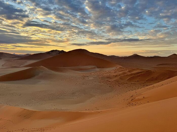 ナミビア Dune45 観光 ランキング 行ってみたい 絶景 ナミブ砂漠 砂丘 デッドフレイ