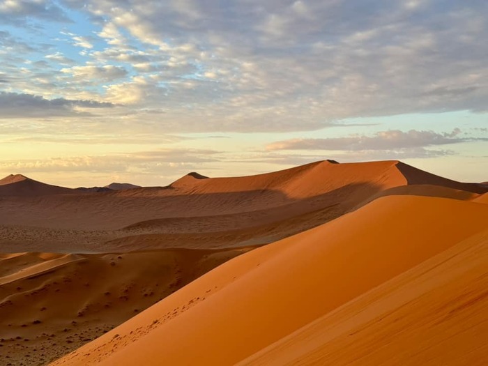 ナミビア Dune45 観光 ランキング 行ってみたい 絶景 ナミブ砂漠 砂丘 デッドフレイ