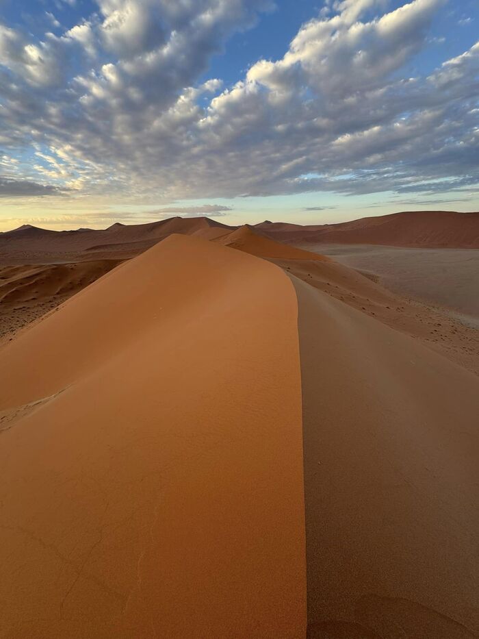 ナミビア Dune45 観光 ランキング 行ってみたい 絶景 ナミブ砂漠 砂丘 デッドフレイ