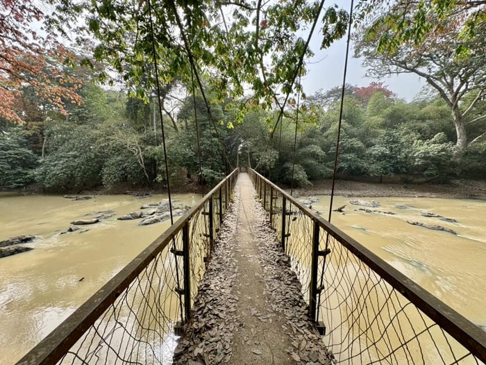 ナイジェリア 世界遺産 オシュン＝オショグボ Osun Osogbo Sacred Grove 世界一周 海外旅行 神秘の世界