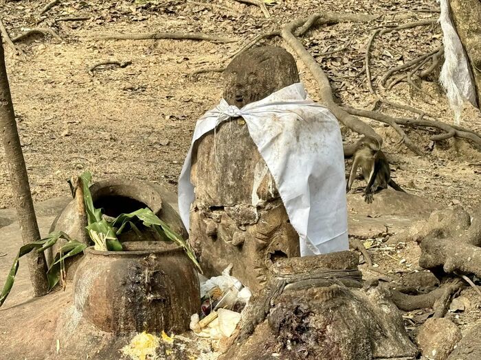 ナイジェリア 世界遺産 オシュン＝オショグボ Osun Osogbo Sacred Grove 世界一周 海外旅行 神秘の世界