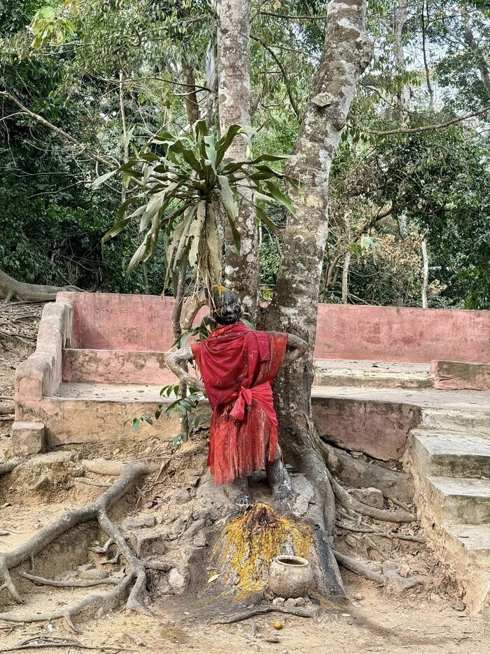 ナイジェリア 世界遺産 オシュン＝オショグボ Osun Osogbo Sacred Grove 世界一周 海外旅行 神秘の世界