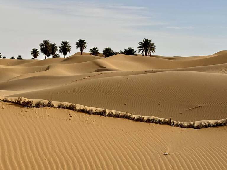 taghit アルジェリアの観光 サハラ砂漠