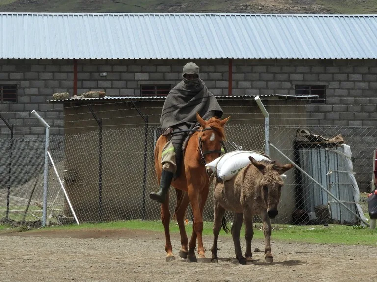 レソトの観光 セモンコンで馬に乗る人