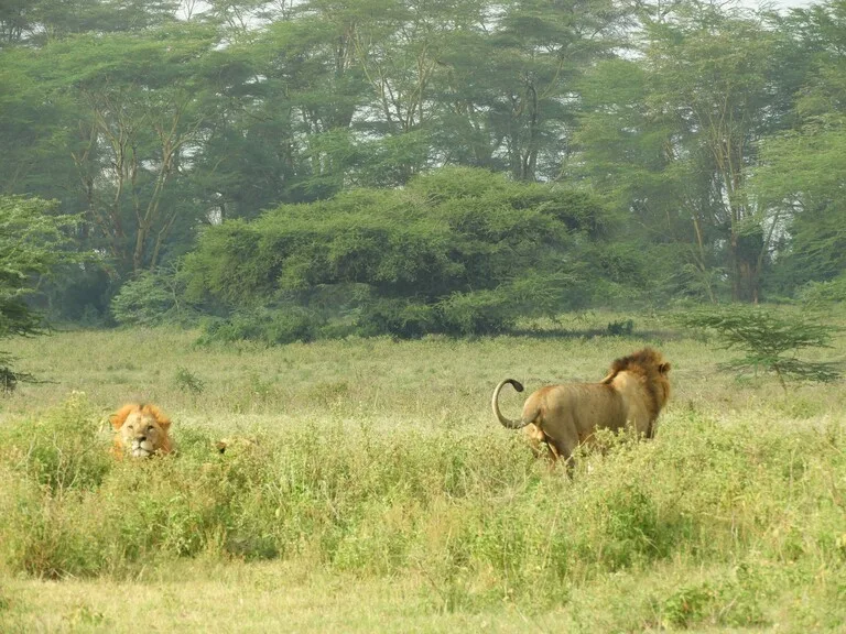 ジンバブエの観光 Hwange National Park