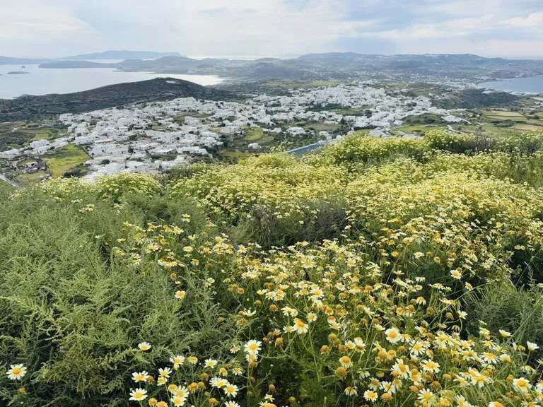 ミロス島 観光 ギリシャ プラカ城