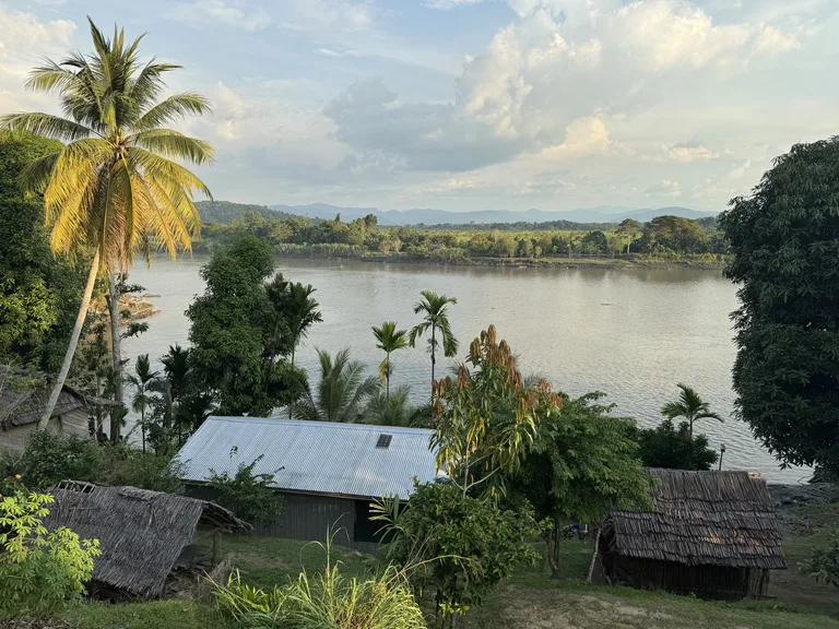 crocodile-festival sepik-river パプアニューギニア 観光 ambunti