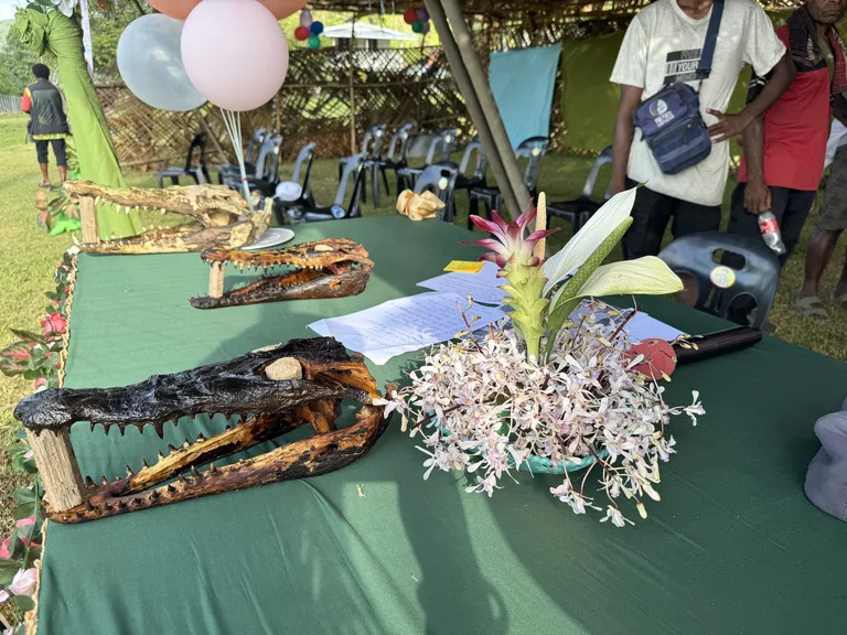 crocodile-festival sepik-river パプアニューギニア 観光 ambunti