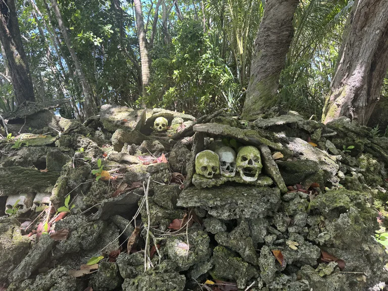 ソロモン諸島 観光 ムンダ skull-island