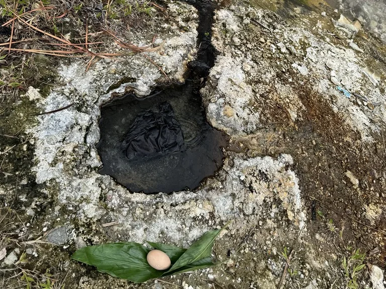 ソロモン諸島 観光 サボ島 火山で温泉卵