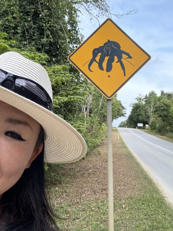 クリスマス島にあるヤシガニ注意の標識をバックに記念撮影する観光客