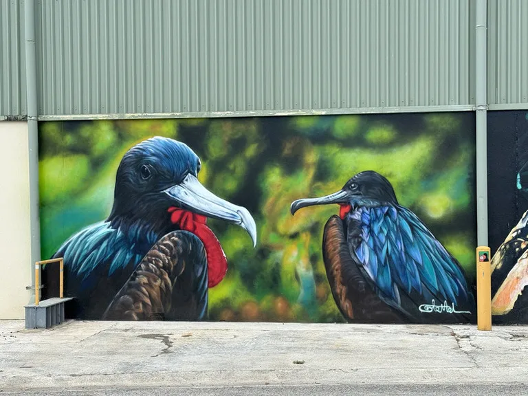 絶滅危惧種に指定されているChristmas Island Frigatebird(クリスマスオオグンカンドリ)を描いたストリートアート