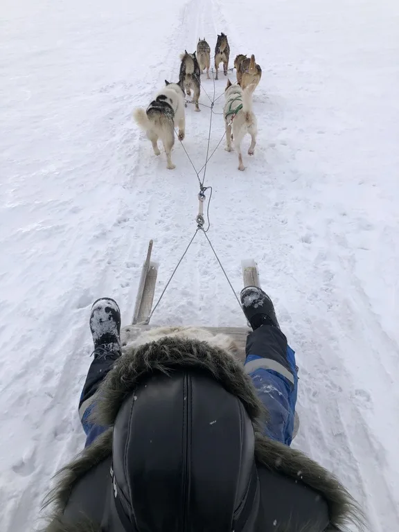 スヴァ―ルバル諸島の犬ぞりと操作する人