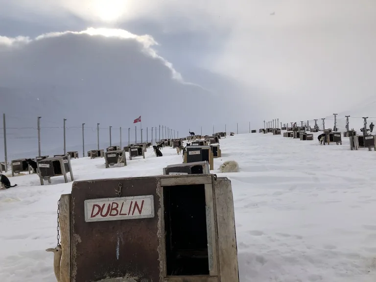スバールバル諸島にある犬ぞりの犬たちと犬小屋