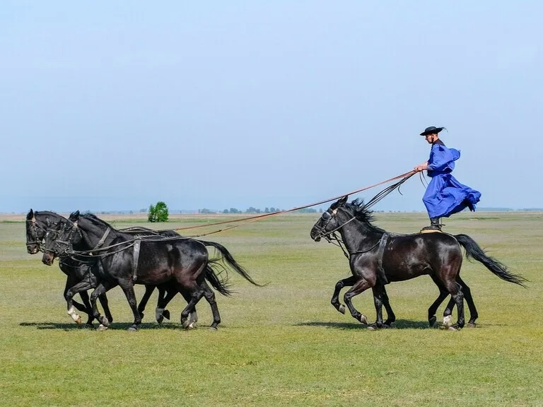 ハンガリー、ホルトバージ国立公園（Hortobágy National Park）の馬術ショー