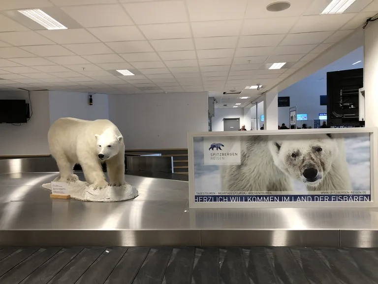 Svalbard Airport, Longyear 世界最北の空港内に展示されている北極グマの剥製と自然を守ろうという看板