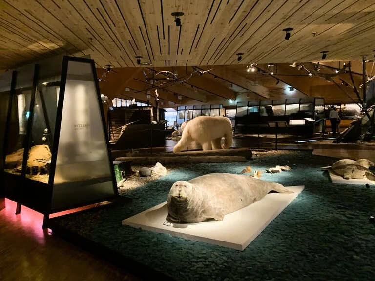 Svalbard Museum(スヴァールバル博物館)の内観。北極グマやセイウチなど北極圏の文化展示施設
