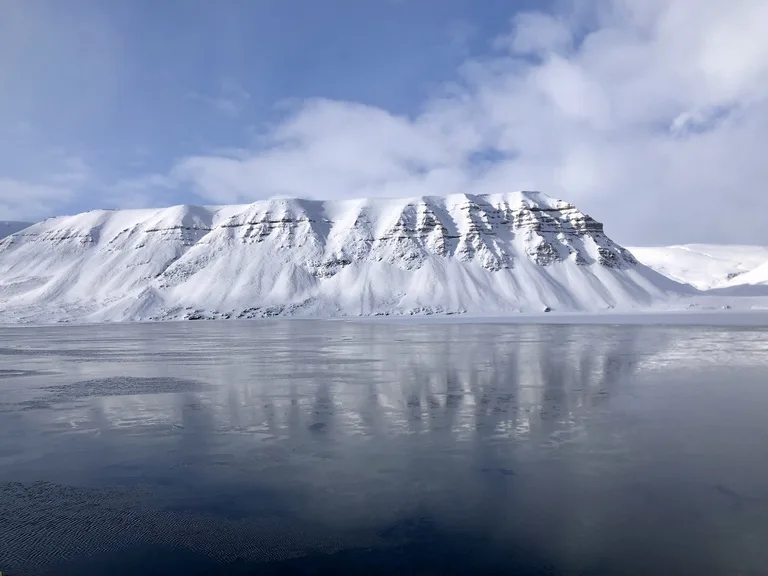 Fjord-cruise to Billefjordenで北極海をクルーズする船から見えるフィヨルドの景色