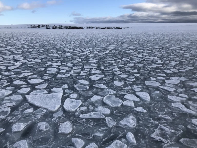 Billefjordenへ向かうクルーズ船のデッキから見る北極海の流氷