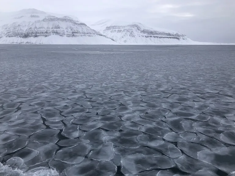 北極フィヨルドBillefjordenの奥に広がる雪山と海氷の景色