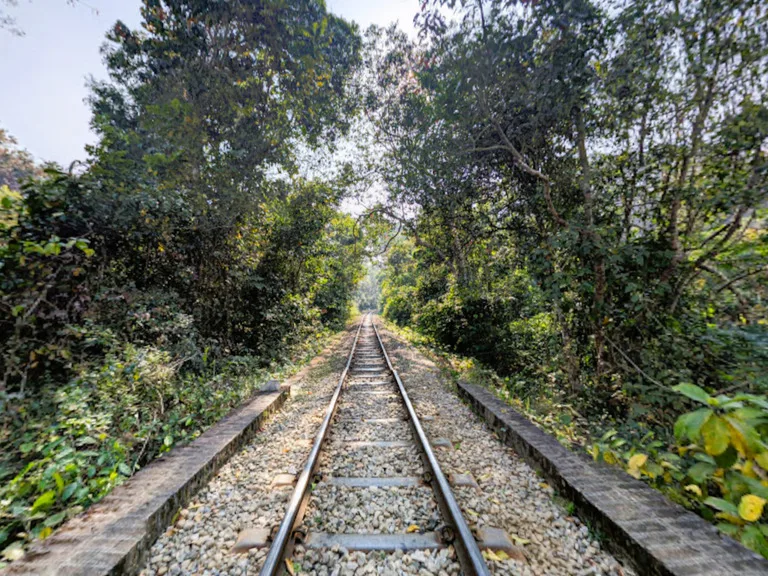 スリモンゴル（Srimangal）の自然保護区を走る鉄道