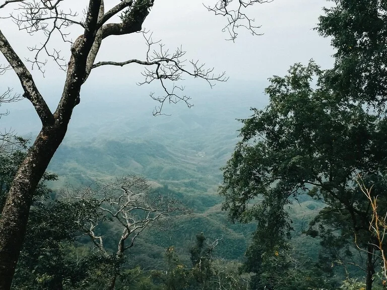 バングラデシュのサジャルガンジ（Sajek Valley）