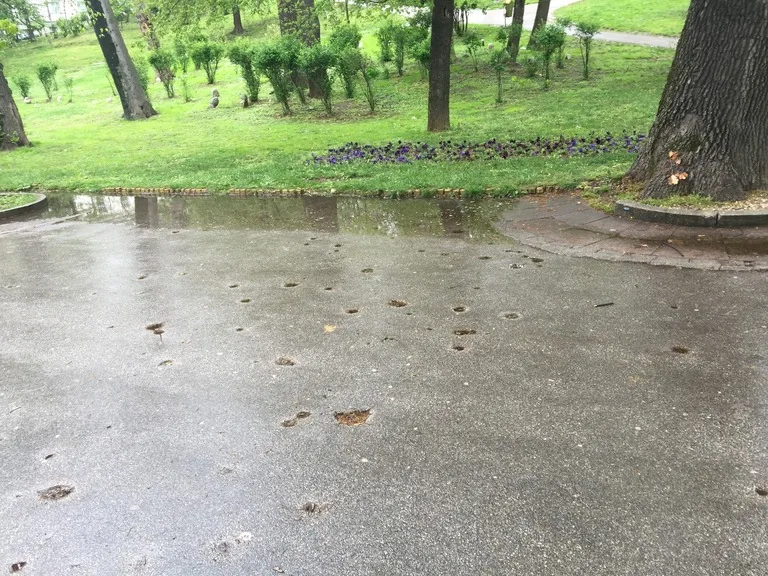 公園の道に残る無数の爆弾跡