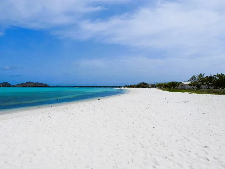 ロスロケス諸島のビーチ