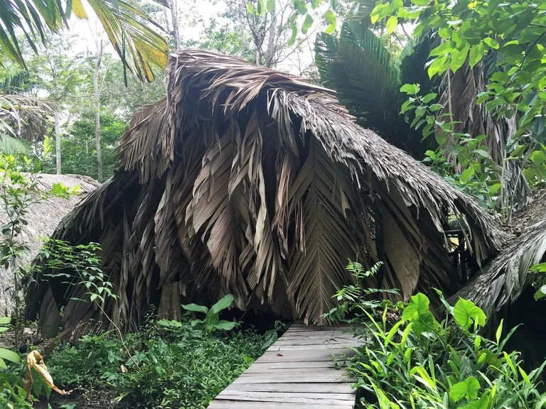 ベネズエラ、Orinoco Eco Campのヤシの葉で作った客室入口