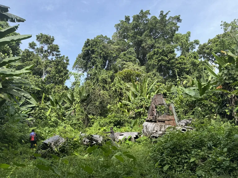 ジャングルに埋もれた山本五十六墜落機の残骸(ブーゲンビル島)