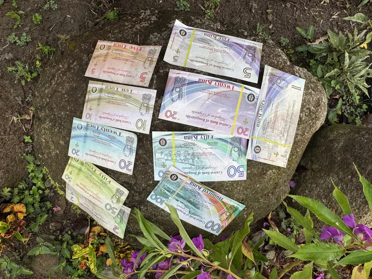 ブーゲンビル島内にあるマイクロネーション「Papaala と Me’ekamui の双王国」のお金