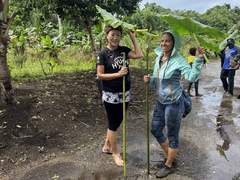 ブーゲンビル島のジャングルトレッキングでバナナの葉を傘代わりにする様子