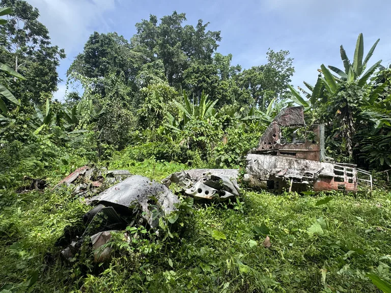 ブーゲンビル島のジャングルに残る山本五十六搭乗機の残骸