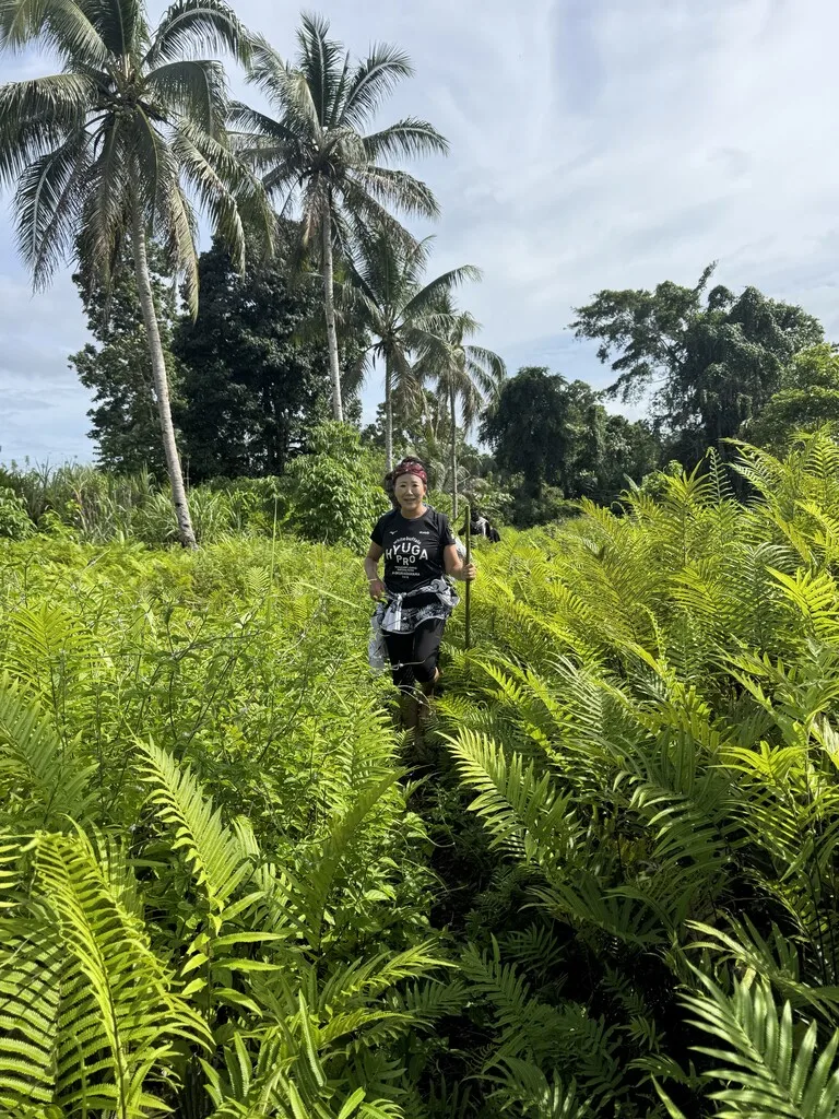 ブーゲンビル島のジャングルを進む山本五十六墜落現場へのトレッキングルート