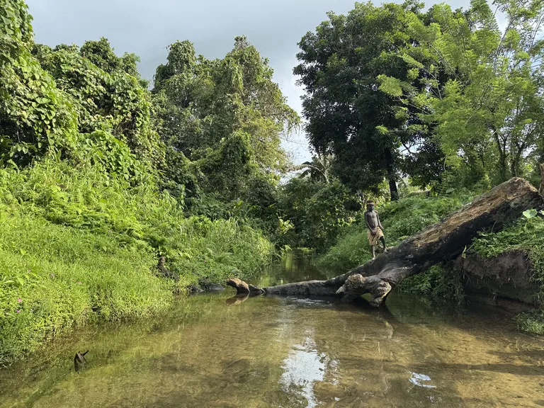 ブーゲンビル島のジャングルに続く山本五十六墜落現場への道の風景