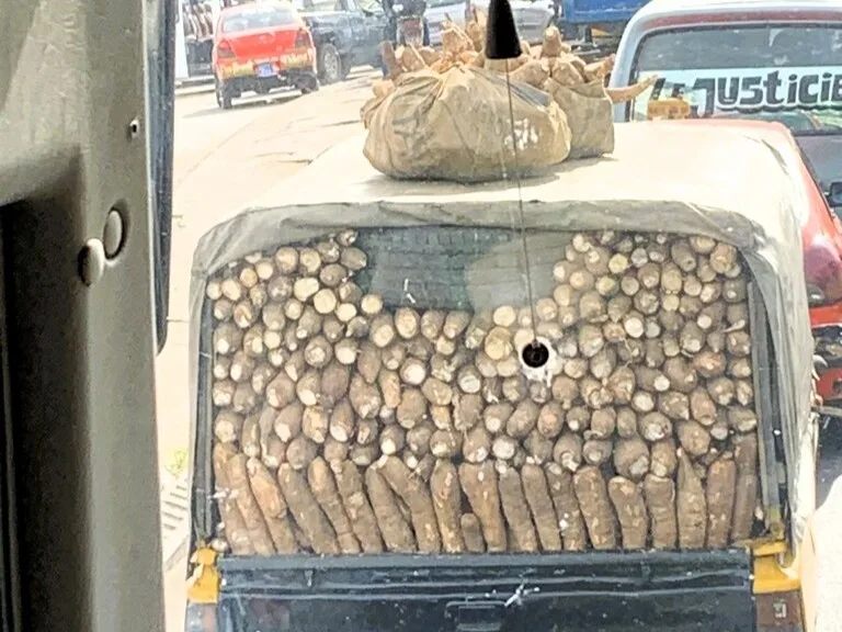 キャッサバを隙間なく詰め込んだ車の荷台