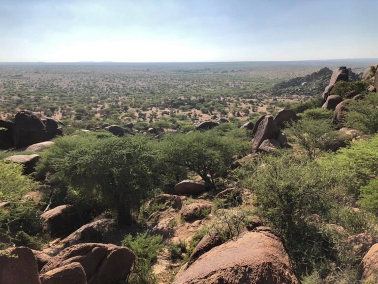ソマリランド観光 ラスゲル ダガックスグレ 海外旅行 世界一周 秘境 絶景 おすすめスポット