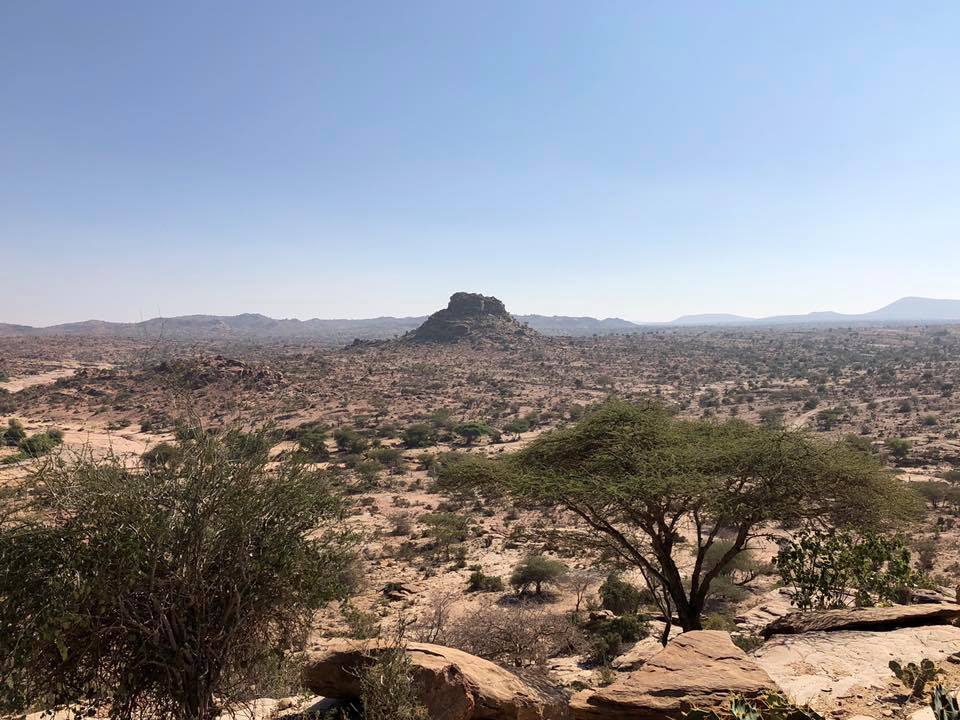 ソマリランド観光 ラスゲル ダガックスグレ 海外旅行 世界一周 秘境 絶景 おすすめスポット