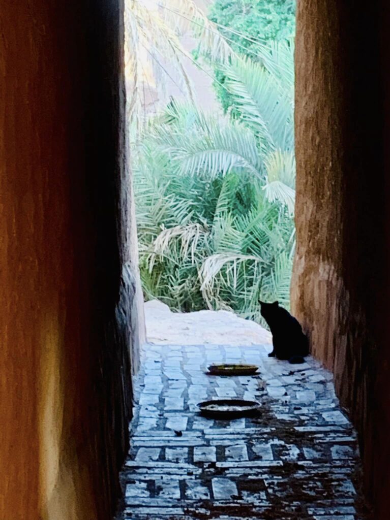 サウジアラビア 観光 アル・ジェライシー 海外旅行 世界一周