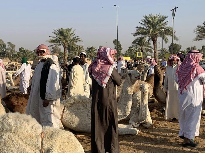 サウジアラビア 観光 ブライダ キャメルマーケット 家畜市場 海外旅行 世界一周 アフリカ文化