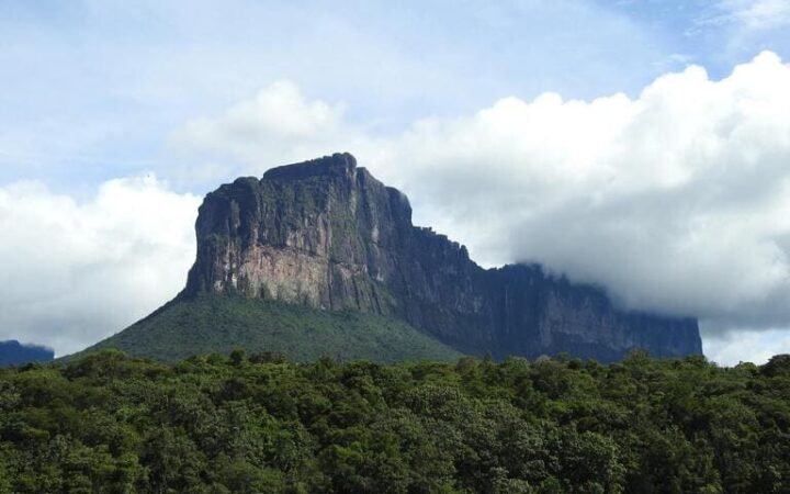 ãããºãšã©ã®èгå
