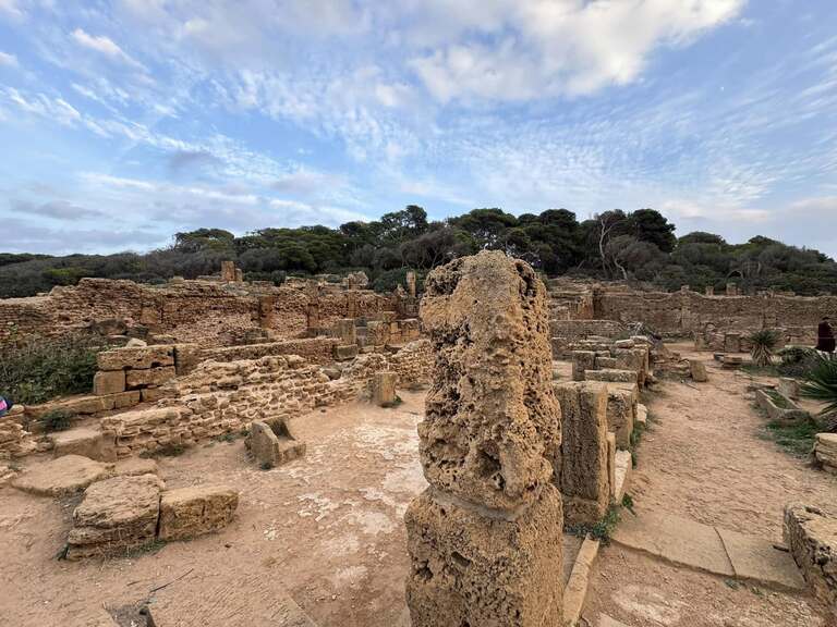 アルジェリアの観光 世界遺産Tipaza 古代遺跡