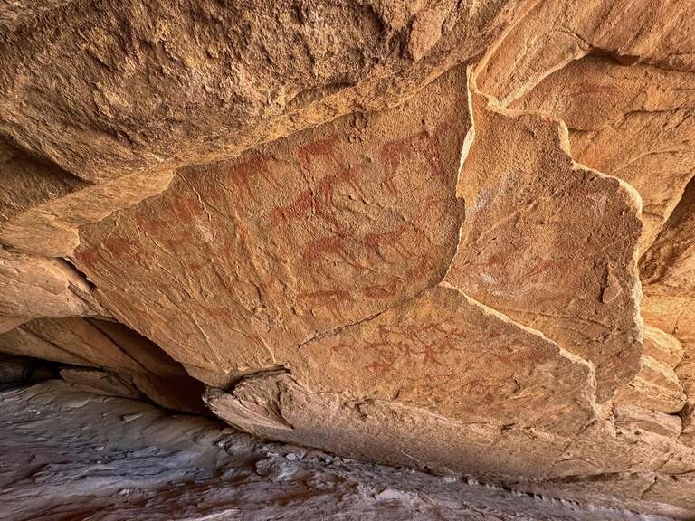 アルジェリアの観光 世界遺産タッシリ・ナジェール Djanet サハラ砂漠